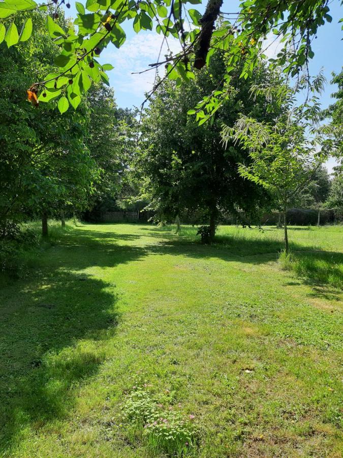 Wisteria Cottage Les Adjots Екстер'єр фото