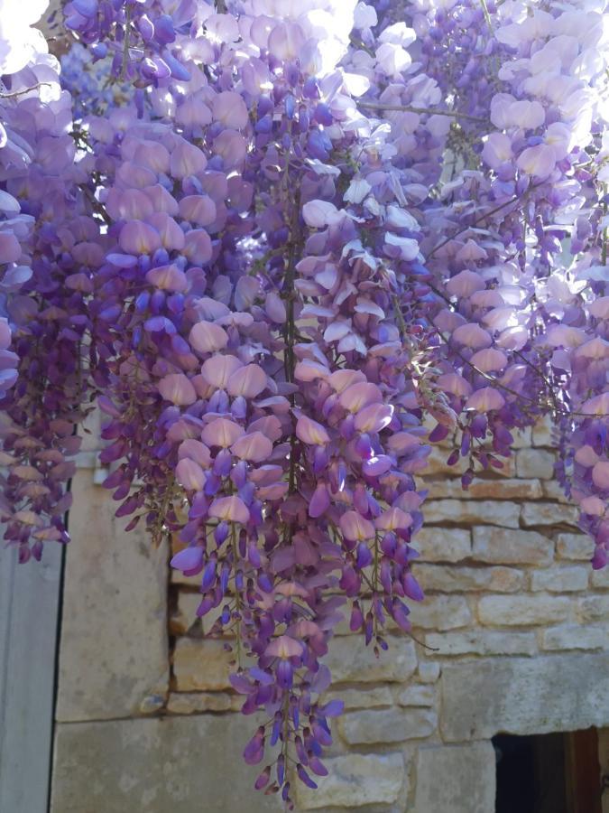 Wisteria Cottage Les Adjots Екстер'єр фото
